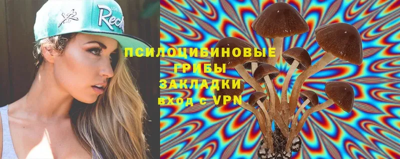 omg вход  Канск  дарк нет официальный сайт  Галлюциногенные грибы Magic Shrooms 